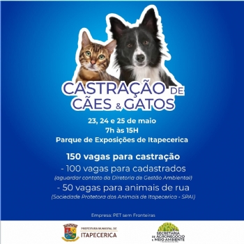 Prefeitura promove mais uma etapa para castração de cães e gatos